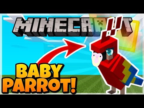 How To GET A BABY PARROT in Minecraft! (Breed Parrots!) - Minecraft Addon