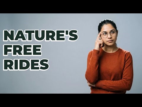 What Are Clear Examples of Commensalism in Nature?