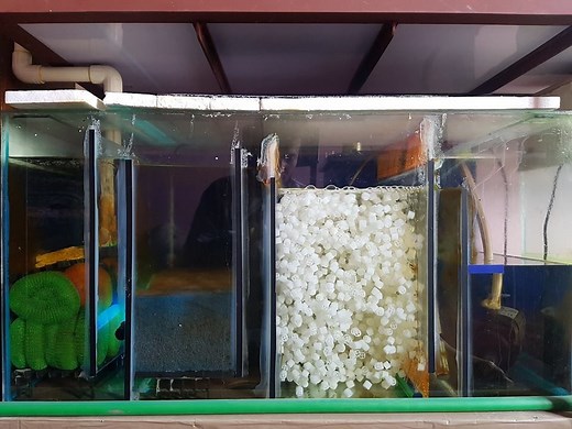 Installing Freshwater Sump Filter - The Best Sump Tank and Pump