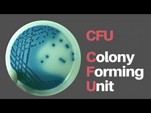 CFU (Colony-Forming Units)
