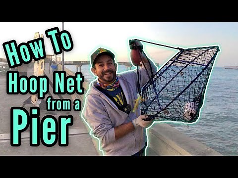 How To Hoop Net from a Pier for LOBSTER