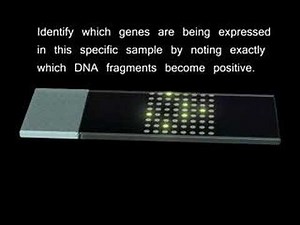 Microarrays