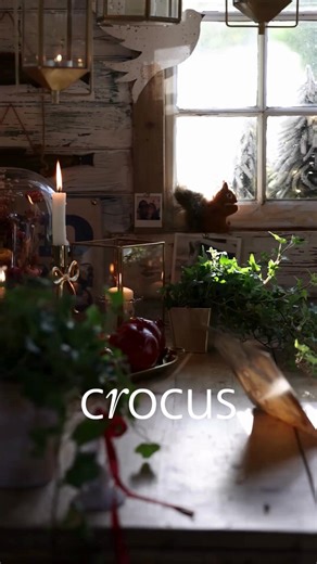 3.2K views | With the nights drawing in and Christmas twinkling in the distance, now is the time to bring a sense of hygge cosiness to your home. My Mulberry Home has curated a Crocus Christmas collection including pieces that echo the beauty of nature and bring a little wonder to our homes. | Crocus.co.uk | Facebook