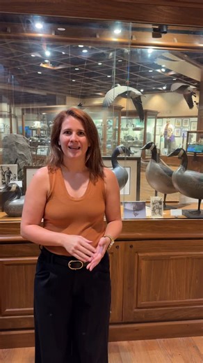 6.8K views · 331 reactions | See the largest collection of its kind...