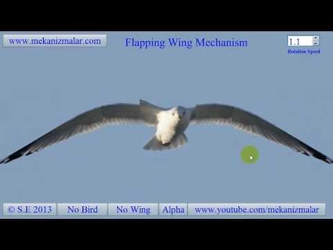Wing Flapping Mechanism