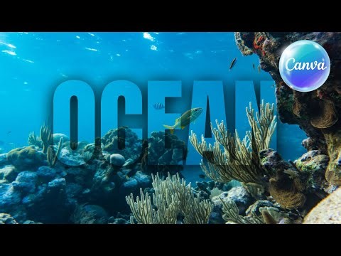 How to Create Transparent Text Effect in Canva: Canva Tutorial