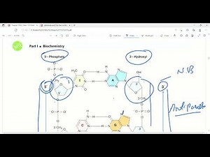Nucleic Acids and DNA structure | Molecular biology | Biochemistry | First Aid Lectures | Lec3