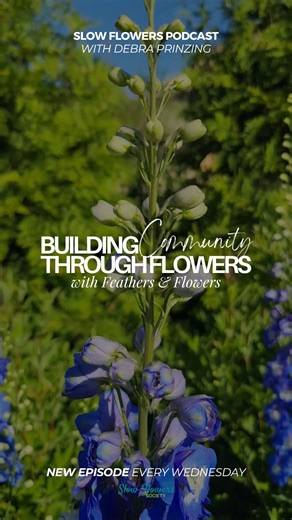 Take a peek at what is to come: Feathers & Flowers is a small, family-run, flower farm growing seasonal, sustainable, and local flowers in Wenatchee, Washington. The farm’s cute logo includes an illustration of a KuneKune pig, a few chickens, and of course, a vase of flowers. I recently visited Feathers & Flowers as Rachel Burgoon’s guest at the first annual grower and florist gathering for the greater Wenatchee Valley. As a natural connector, Rachel says she’s long dreamed of bringing together 