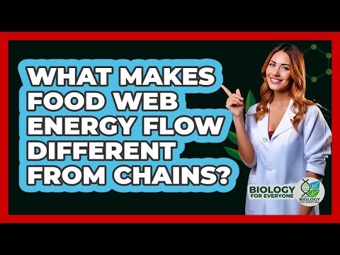 What Makes Food Web Energy Flow Different From Chains?