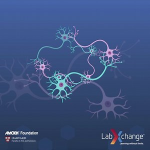 60M views · 1.5K reactions | Free virtual lab simulations designed at Harvard University. You don't want to miss these! | LabXchange | Facebook