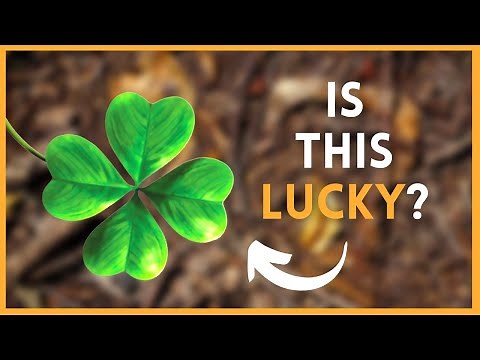 Why is the Four-Leaf Clover Lucky? | SymbolSage
