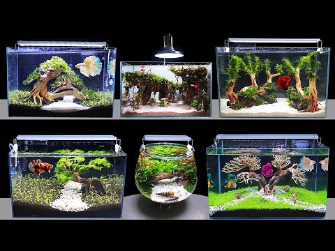 TOP 6 How To Make Mini Planted Fish Tank At Home Idea 6 DIY Aquascape Aquarium Decoration Ideas #142
