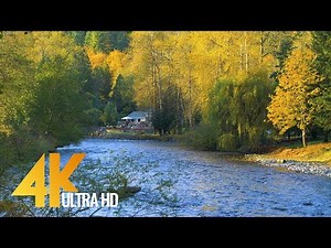 4K Nature Autumn Scenery - Fall Colors and Autumn Foliage. Episode #3