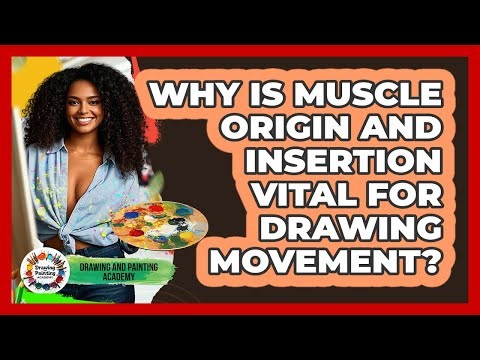 Why Is Muscle Origin And Insertion Vital For Drawing Movement? - Drawing and Painting Academy