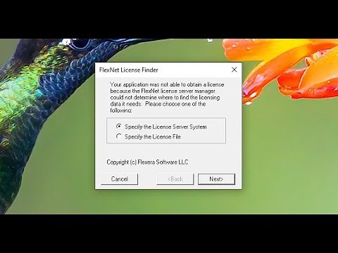 Solutions to the "flexnet license finder" problem
