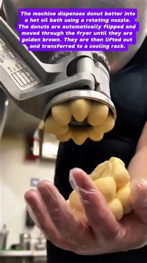Automated Donut Making: Commercial Donut Machine in Action!