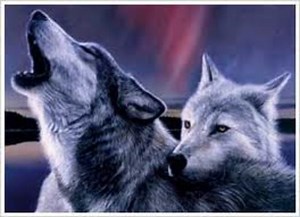 The Two Wolves That Fight Inside You - Cherokee Mythology