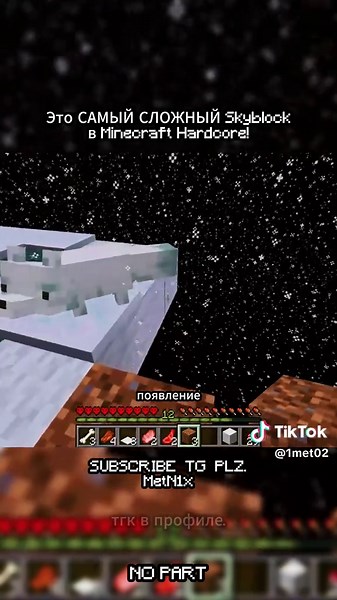 Survivre sur le Skyblock le plus difficile