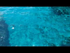 ASMR Pool Splash Sound: Relax to the soothing sound of a pool splashing water