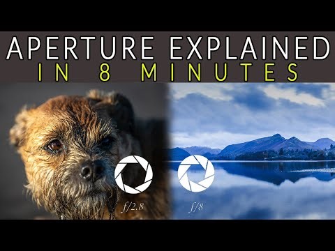 Aperture Settings That Actually Work | Beginner Photography