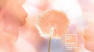 PANTONE 13-1023 Peach Fuzz | Pantone Color of the Year 2024