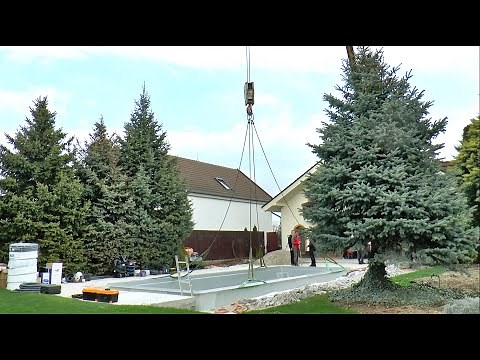 A step by step introduction to a pool installation | COMPASS ceramic pools