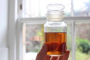 How To Make Lemon Balm Tincture (Soothing Recipe)rn