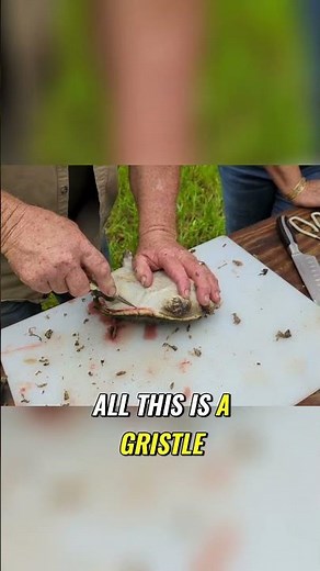 Preparing snapper for a Turtle Sauce Piquante #cooking #turtle #shorts