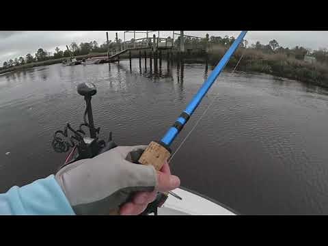 Exploring new waters and Locations to fish!! Inshore Fishing Beaufort South Carolina!!