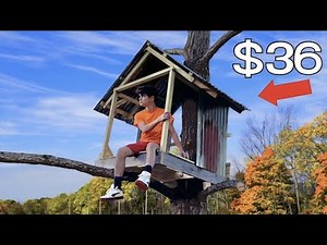 Building a Treehouse for less than 36$