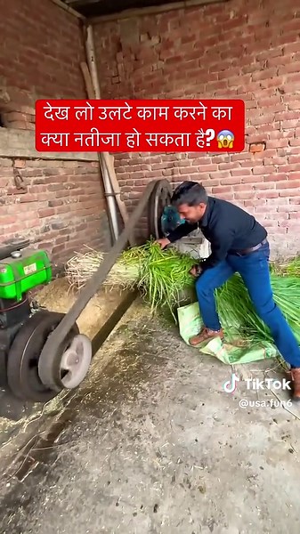 Exploring Innovative AI Bots and Their Capabilities