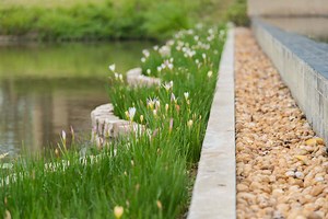 Concrete and Cement Garden Edging [Tips, How-To Guide & Pictures]