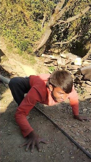 lizard 🦎 walking exercise 🦎#lizard #walking #viralvideo #streching