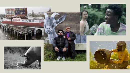 The 52 Best Documentaries of the 21st Century