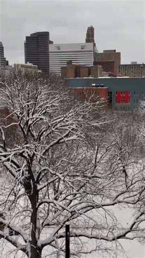 How pretty is this snow? Our photographer Ray Pfeffer got some great shots of the weather this afternoon. | WCPO 9
