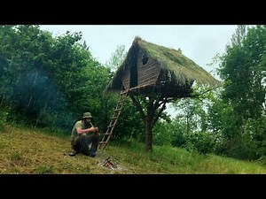 The Ultimate Eco-Friendly Treehouse