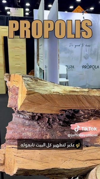 Understanding Bee Instincts: Home Building Behavior