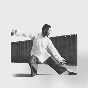 The History of Tai Chi and the role of Cheng Man ching