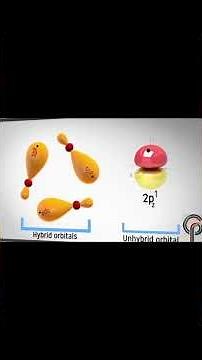 ⚛️ Benzene Sigma Bond Network Explained | Easy Organic Chemistry ✨