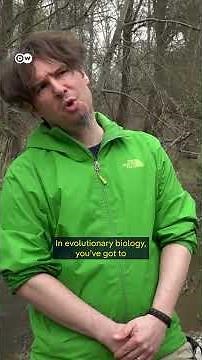 This invasive species is destroying Germany's ponds! | DW Documentary