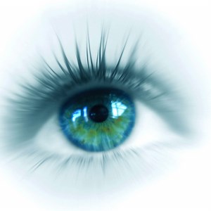 Télécharger FastStone Image Viewer (gratuit) Windows - Clubic