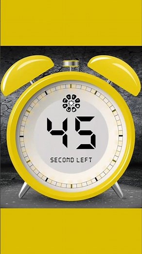 45 Seconds Timer - 45 second countdown timer with alarm sound #countdown #timer #success #focus