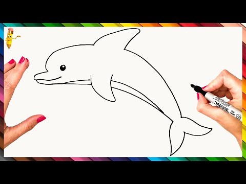 How To Draw A Dolphin Step By Step 🐬 Dolphin Drawing Easy