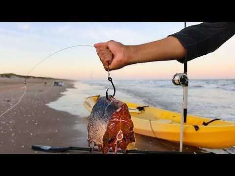 using big chunks of MEAT to catch sharks at the beach