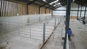 11K views · 77 reactions | Coming up this week buildings reporter William Conlon is checking out a calf shed that holds between 150-170 calves. | Irish Farmers Journal | Facebook