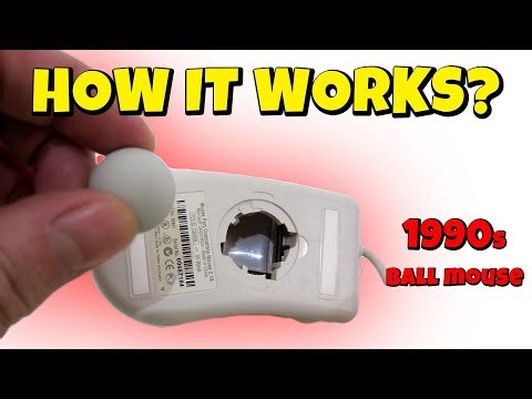 Inside the Mouse You Forgot