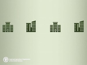 ...planting trees today is essential for future generations! | Food and Agriculture Organization of the United Nations (FAO)