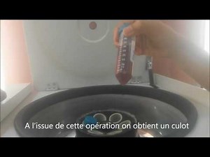 Extraction de l’ADN génomique à partir de le sang par la méthode saline