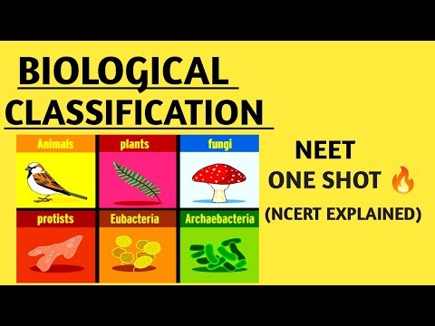 Biological Classification class 11 One Shot | NEET 2026 #neet