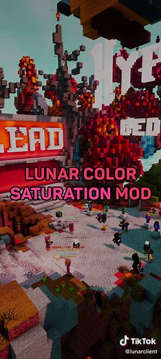 saturation mod or shaders? 🤔 #minecraft #lunarclient #minecraftmemes #hypixel #bedwars #lightroom